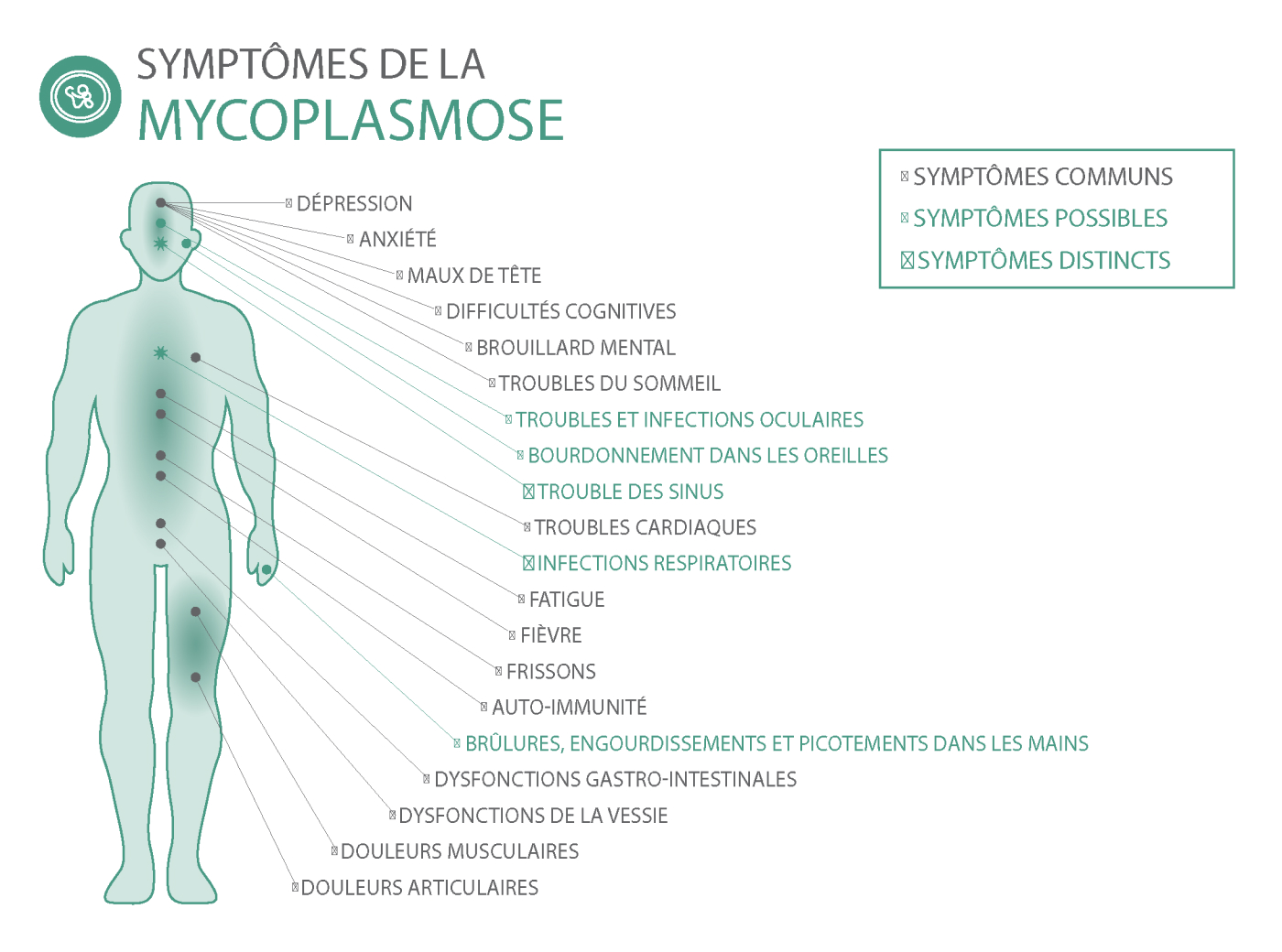 Symptômes de la mycoplasmose