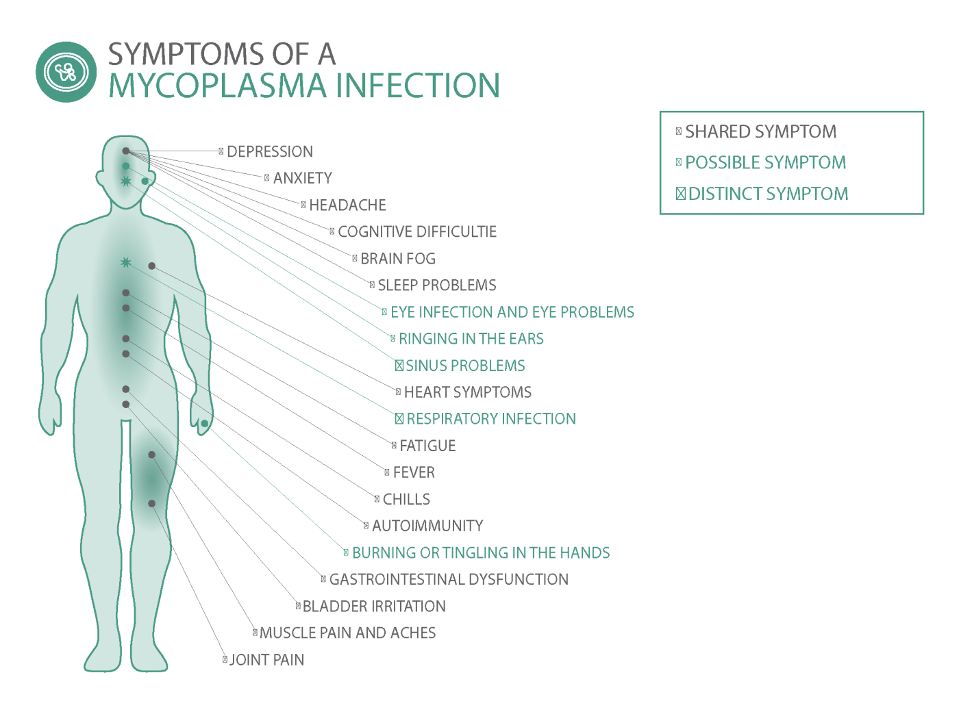 Symptoms of a Mycoplasma infection